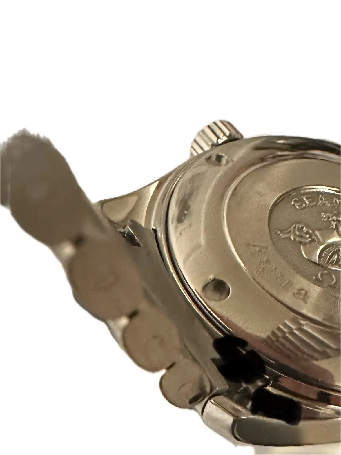 IMG_3934 Background Removed.webp