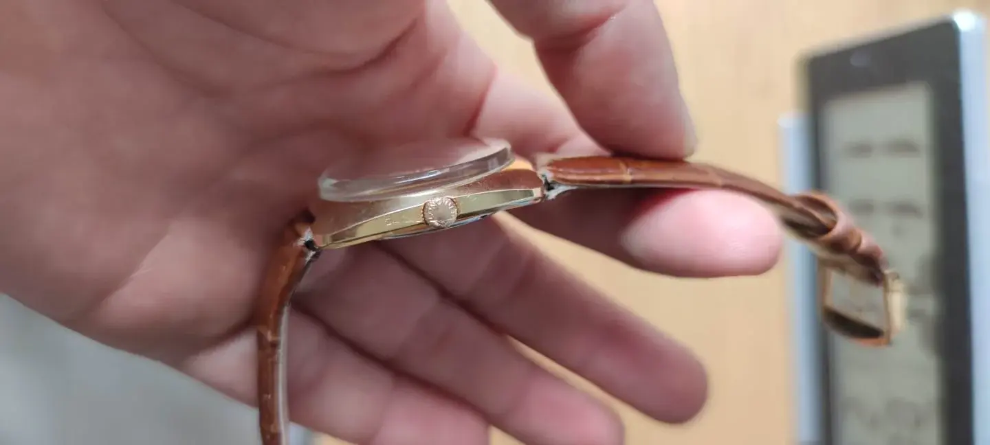 WhatsApp Image 2025-11-15 at 11.36.51.webp