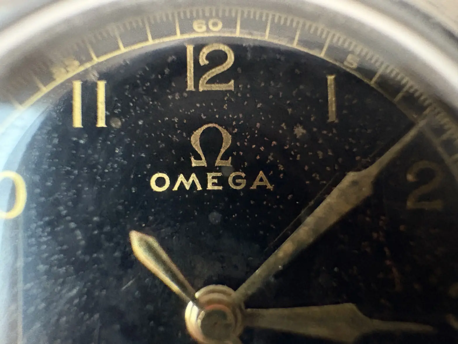 omega02.webp omega02.webp