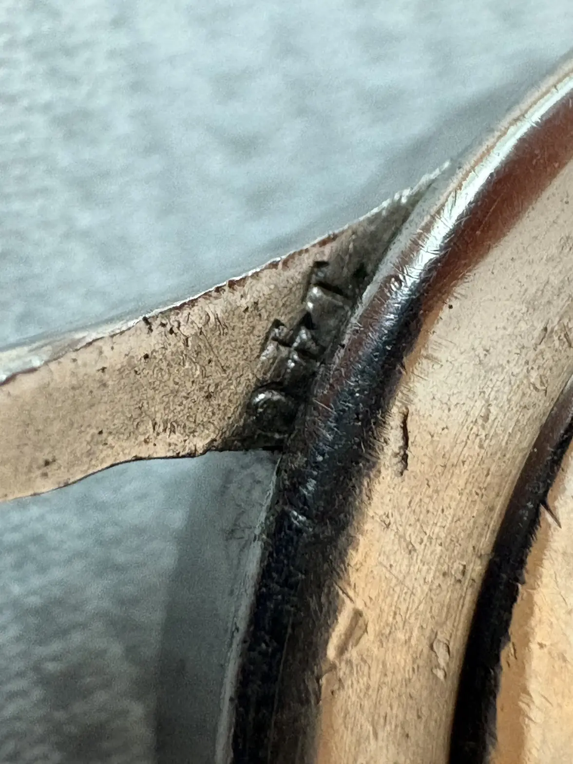 omega05.webp omega05.webp