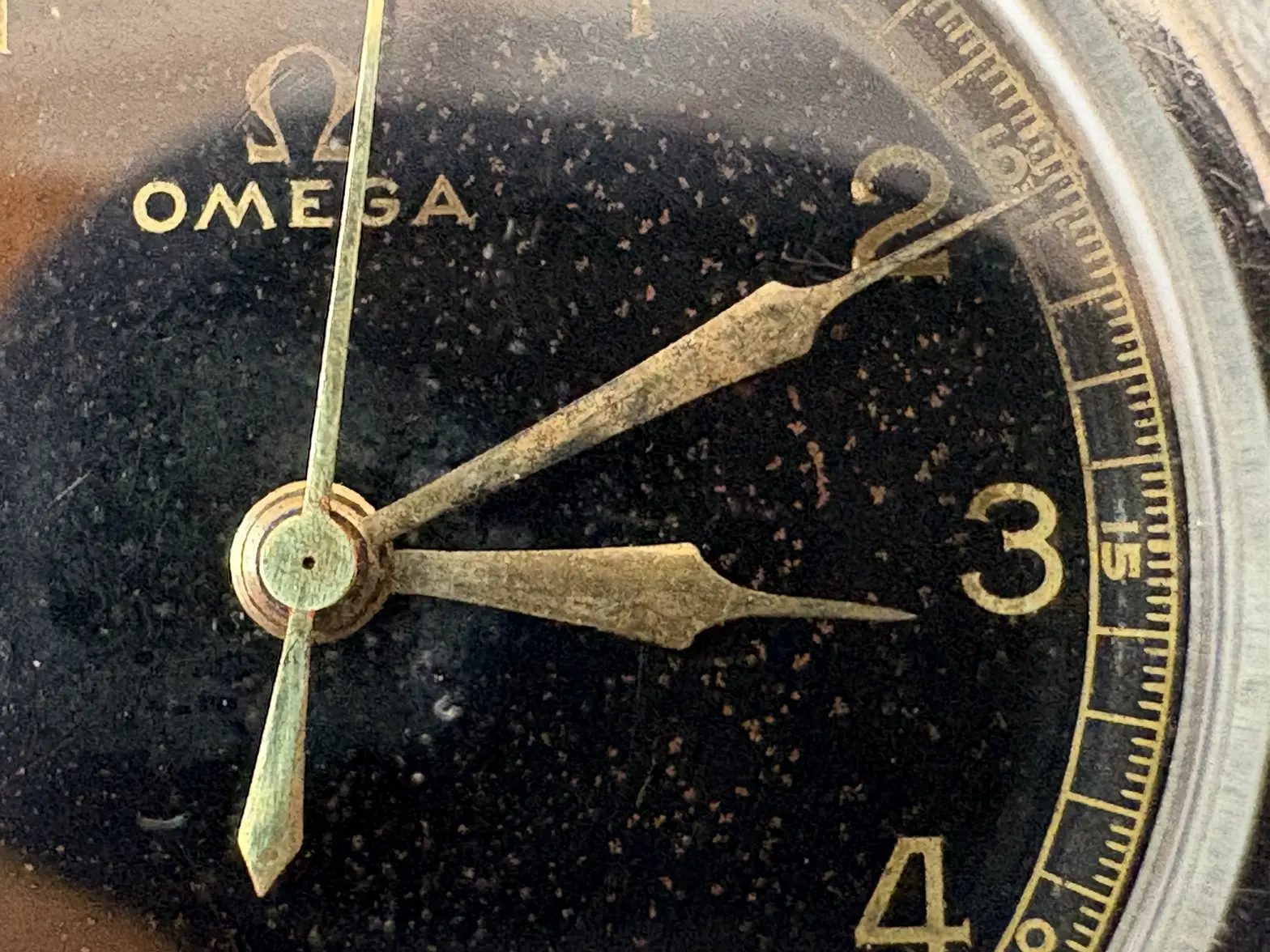 omega06.webp omega06.webp