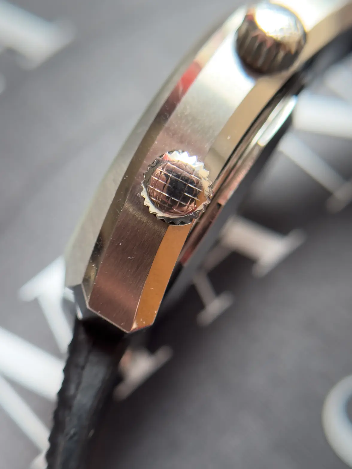 IMG_1646.webp IMG_1646.webp