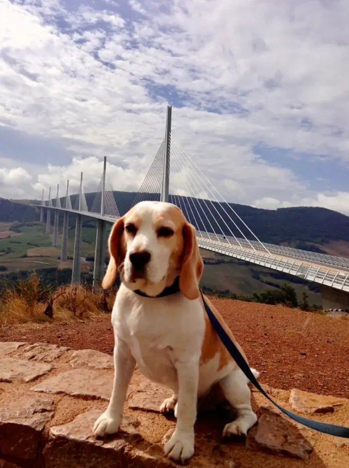 Screenshot 2025-01-12 at 20.28.58.webp