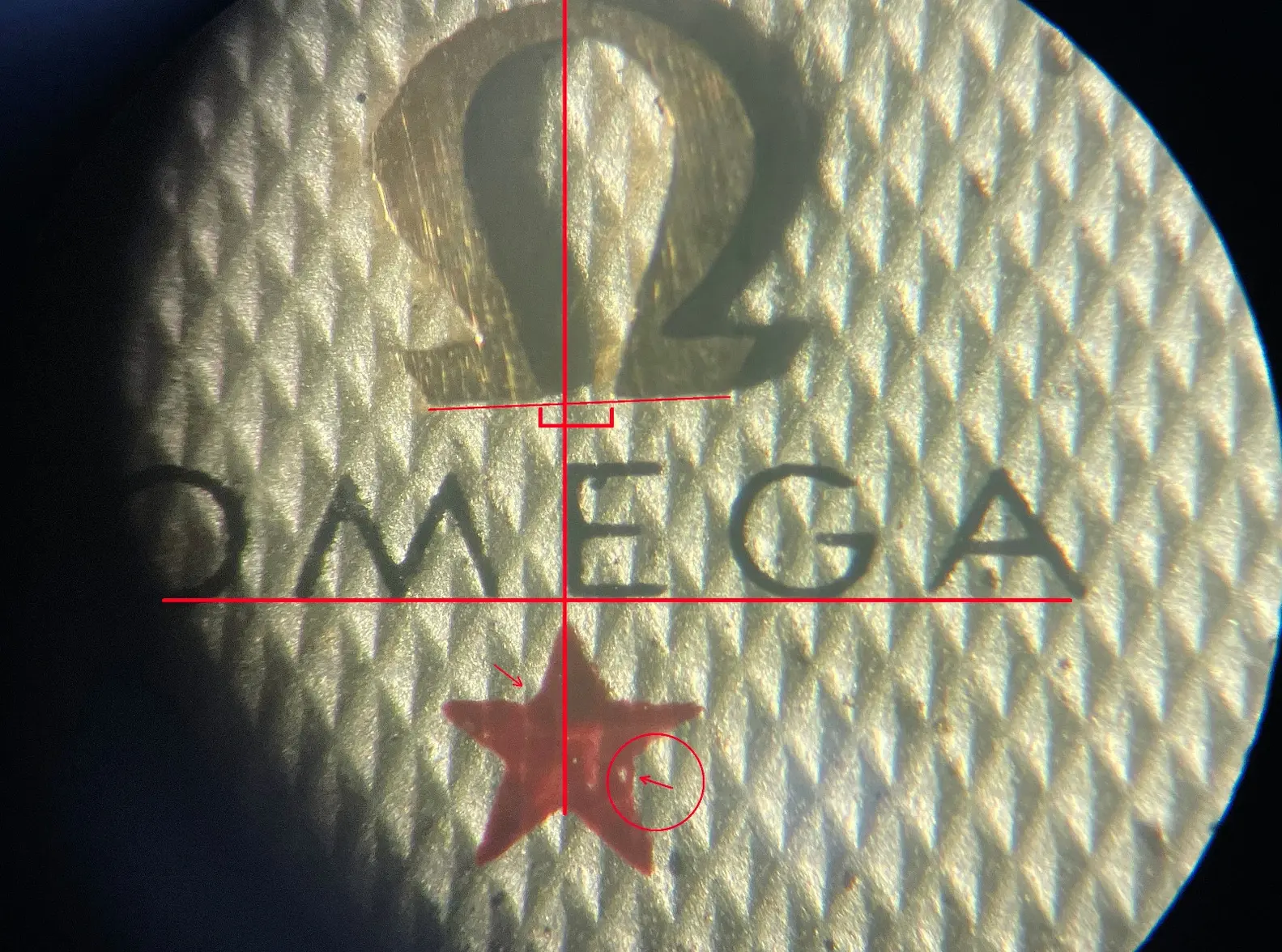 e920f69d-e8bc-436d-8736-c85d4daccac4.webp e920f69d-e8bc-436d-8736-c85d4daccac4.webp