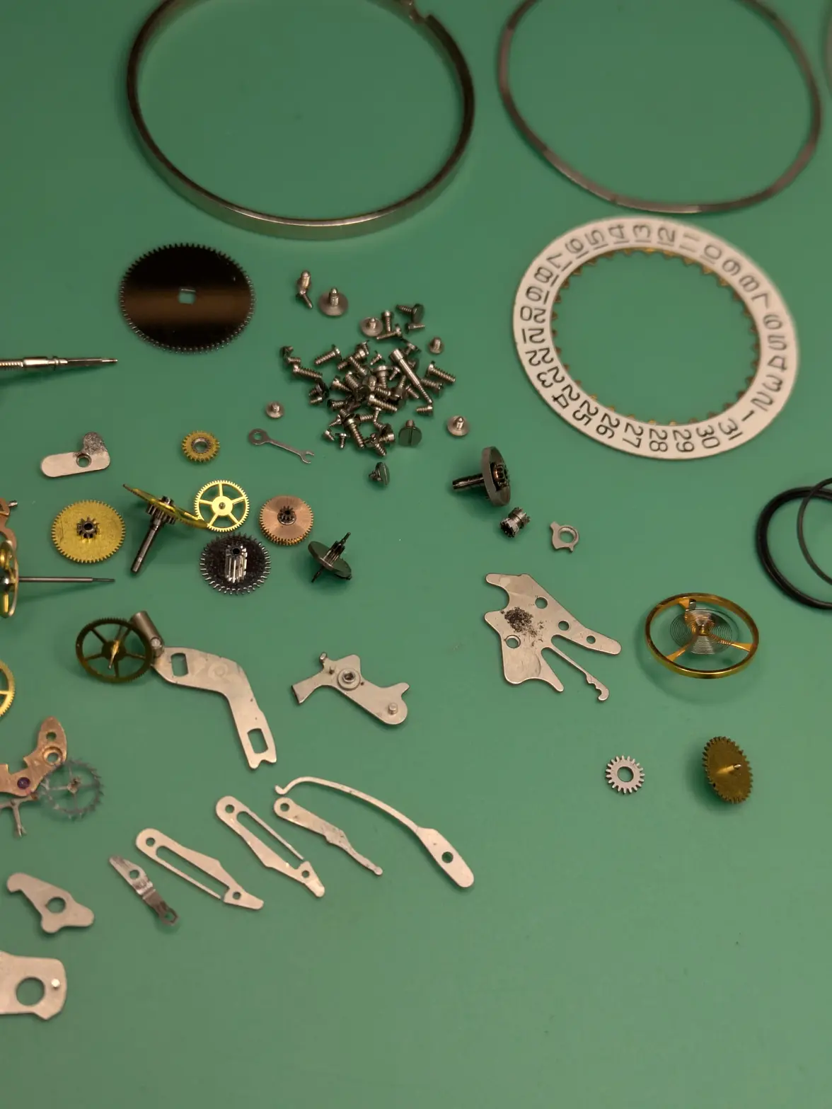 PXL_20251118_153603330.webp PXL_20251118_153603330.webp