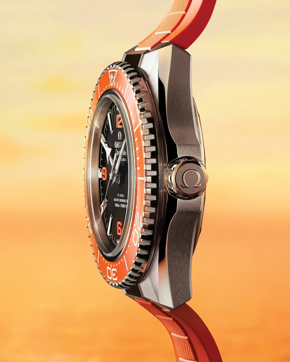 omega-seamaster-planet-ocean-600m-co-axial-master-chronometer-42-mm-21732422101004-portrait-6...webp