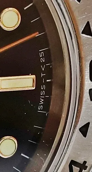 DSC09810b swiss T.webp