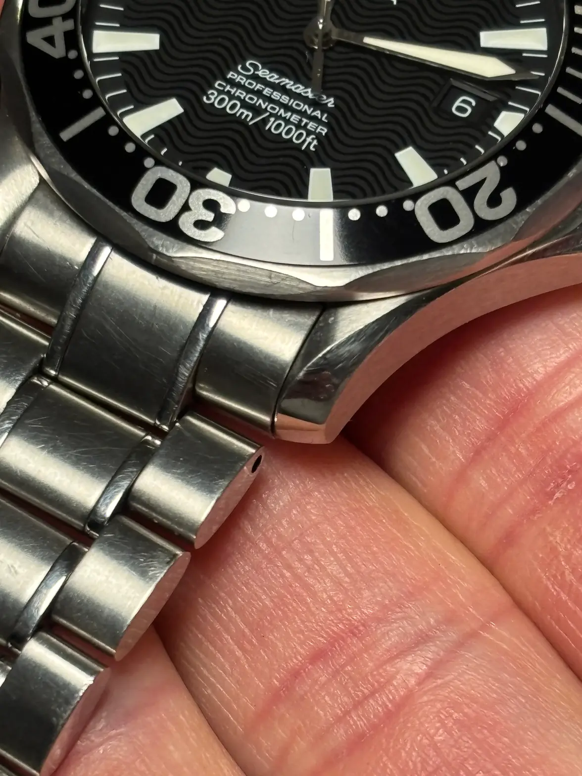 IMG_4036.webp IMG_4036.webp