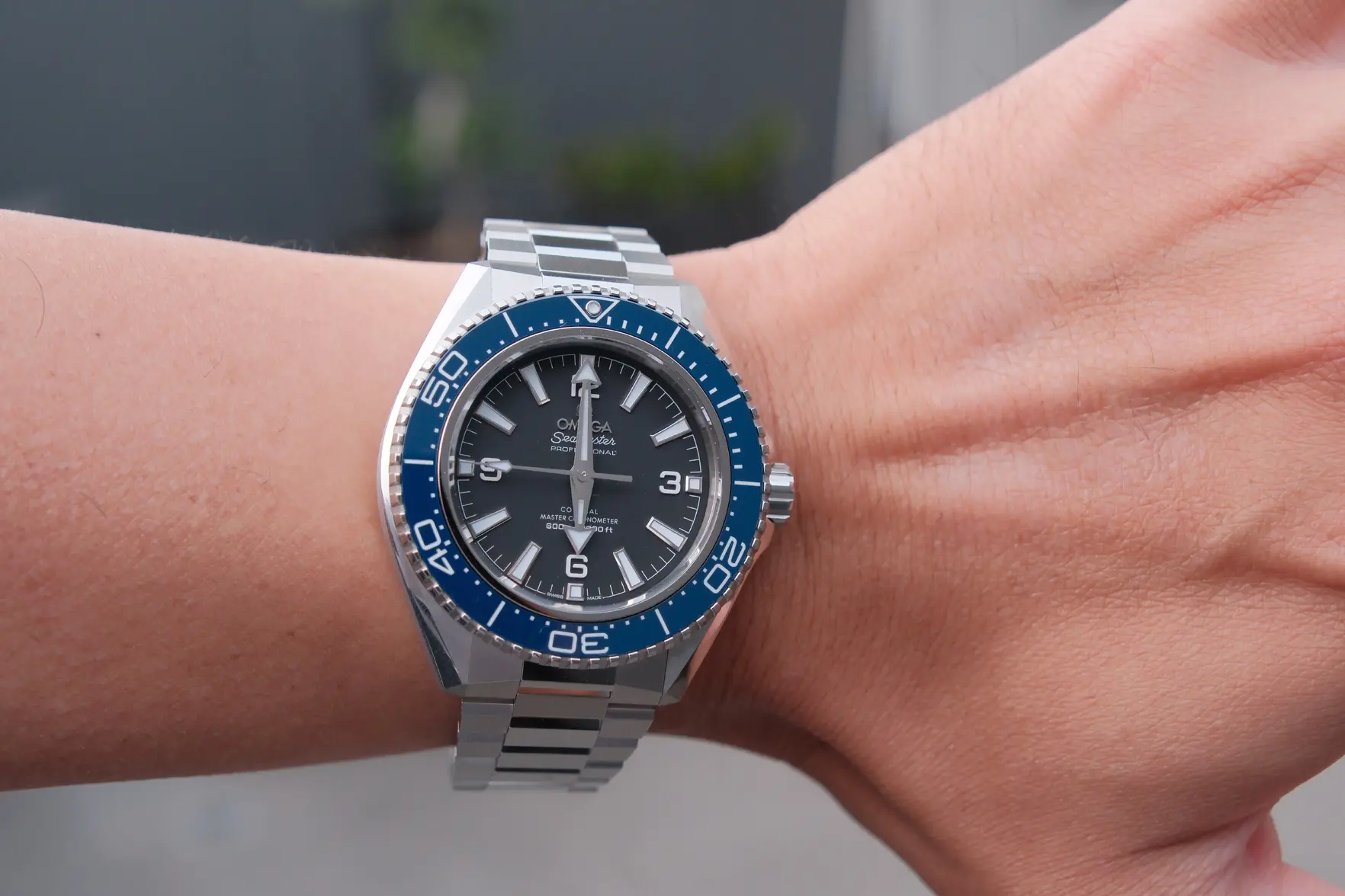 DSCF8980.webp DSCF8980.webp