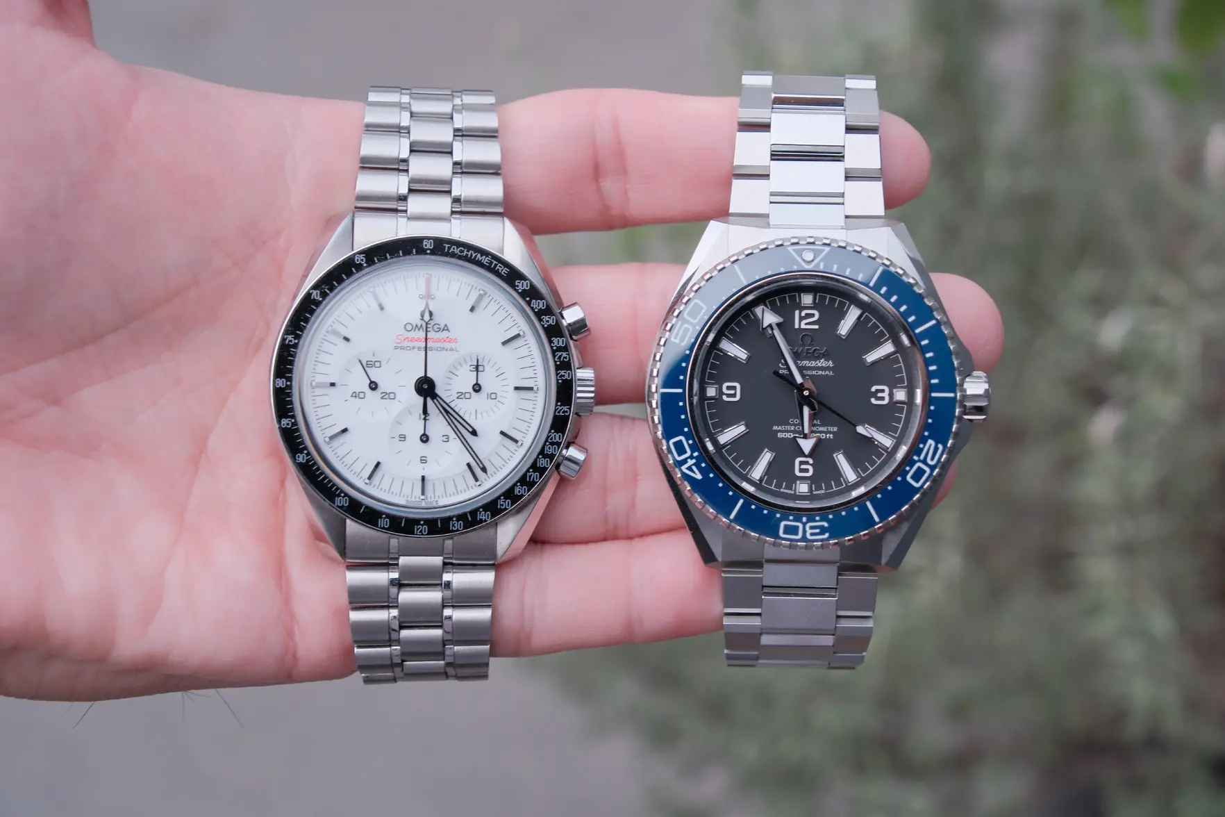 DSCF8976.webp DSCF8976.webp