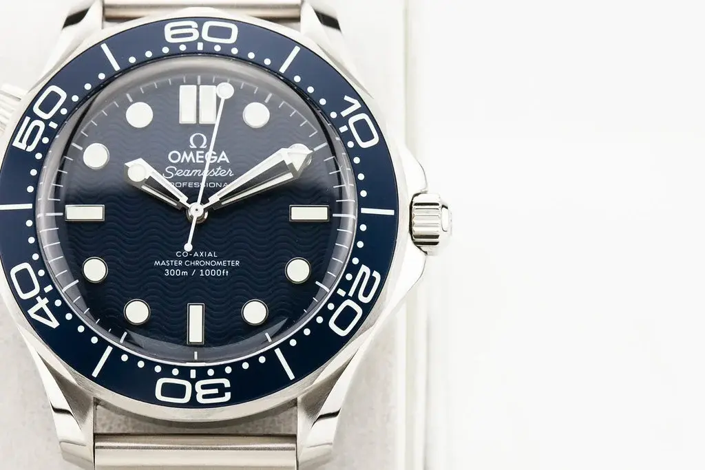 54936437825_0166e8c20c_b.webp 54936437825_0166e8c20c_b.webp