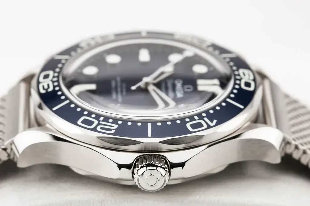 54935259407_042a52c1ed_b.webp 54935259407_042a52c1ed_b.webp