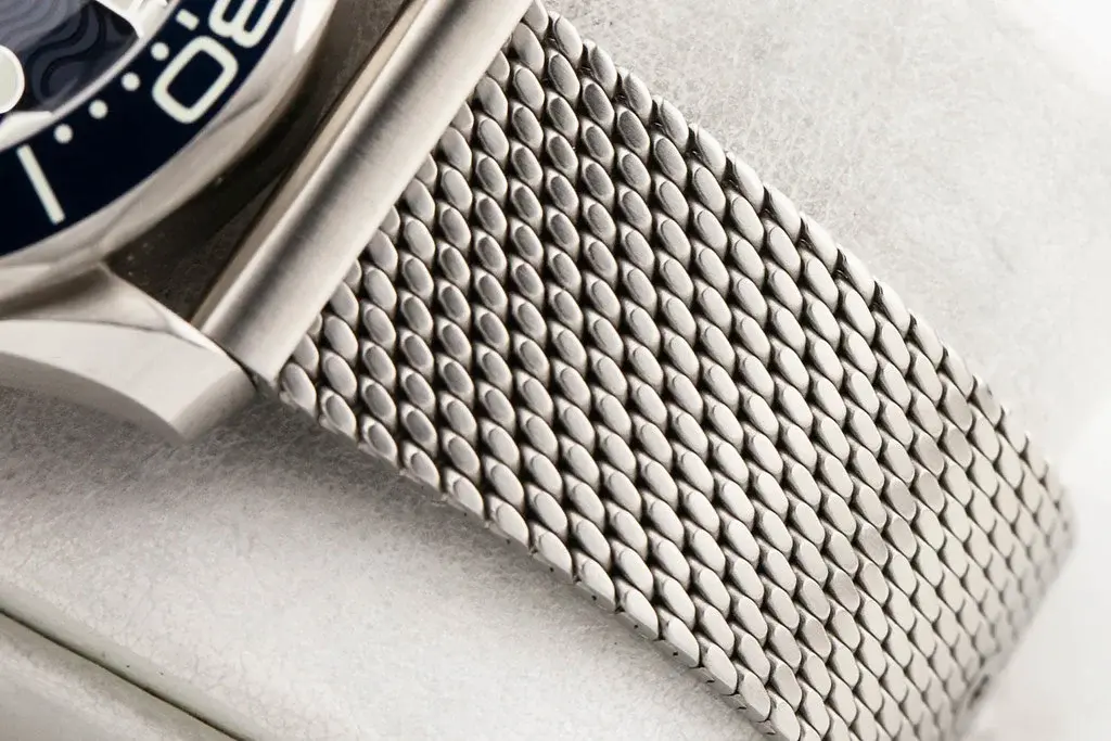 54935259432_5ea4e5fd96_b.webp 54935259432_5ea4e5fd96_b.webp