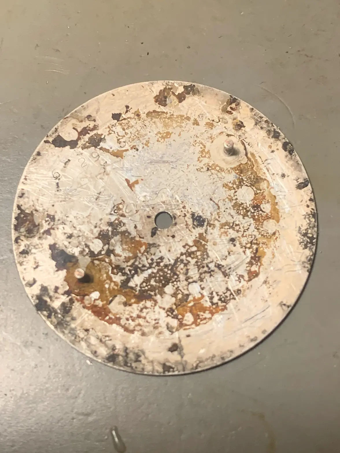 IMG_6394.webp IMG_6394.webp