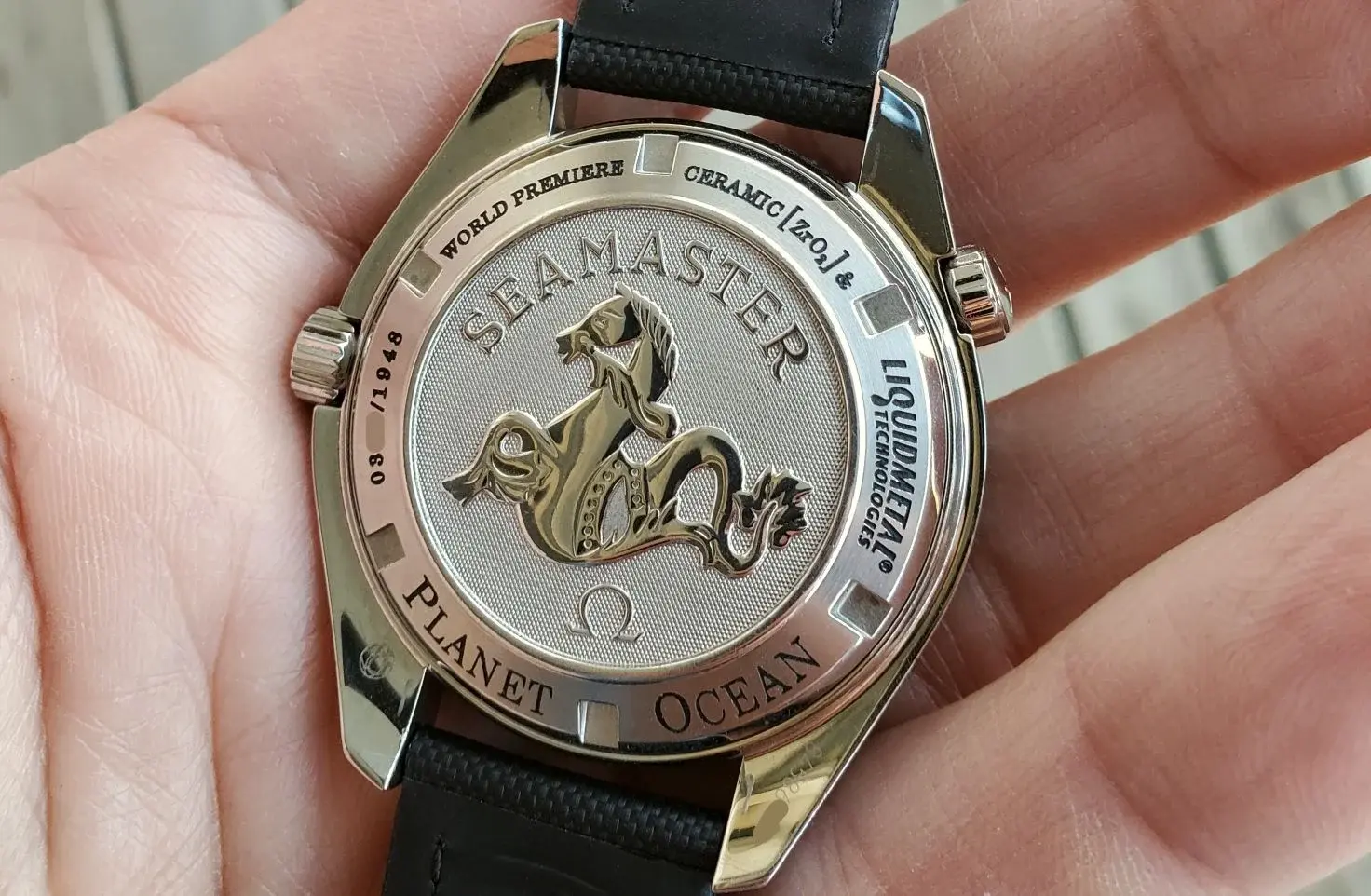 POLM ws back 2 20251122_075815.webp