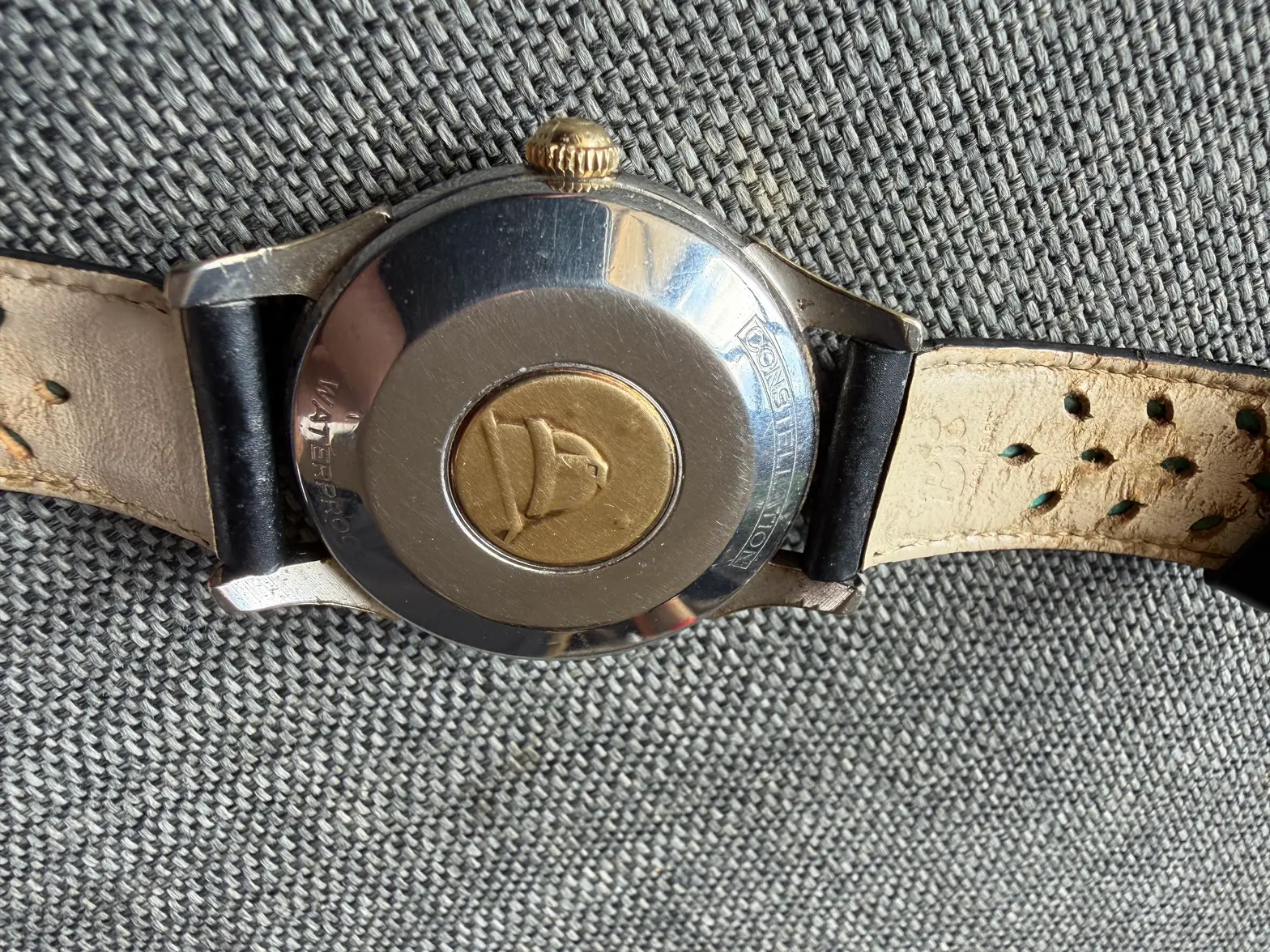 IMG_4217.webp IMG_4217.webp