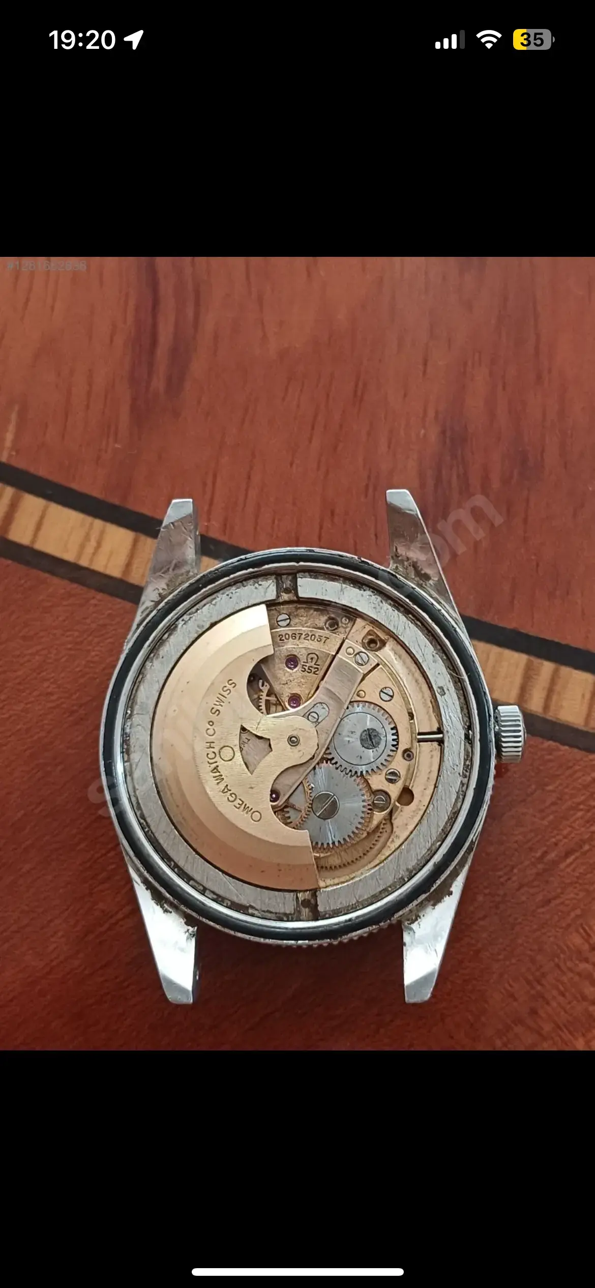 IMG_3353.webp IMG_3353.webp