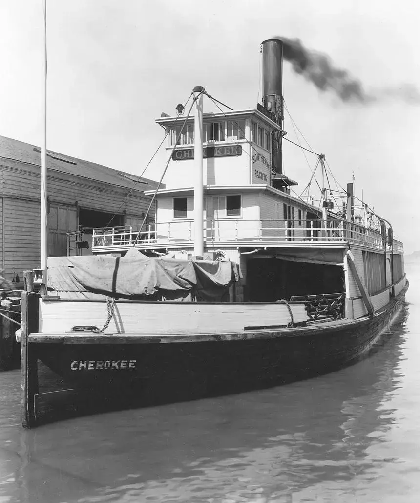 IMG_2890.webp IMG_2890.webp