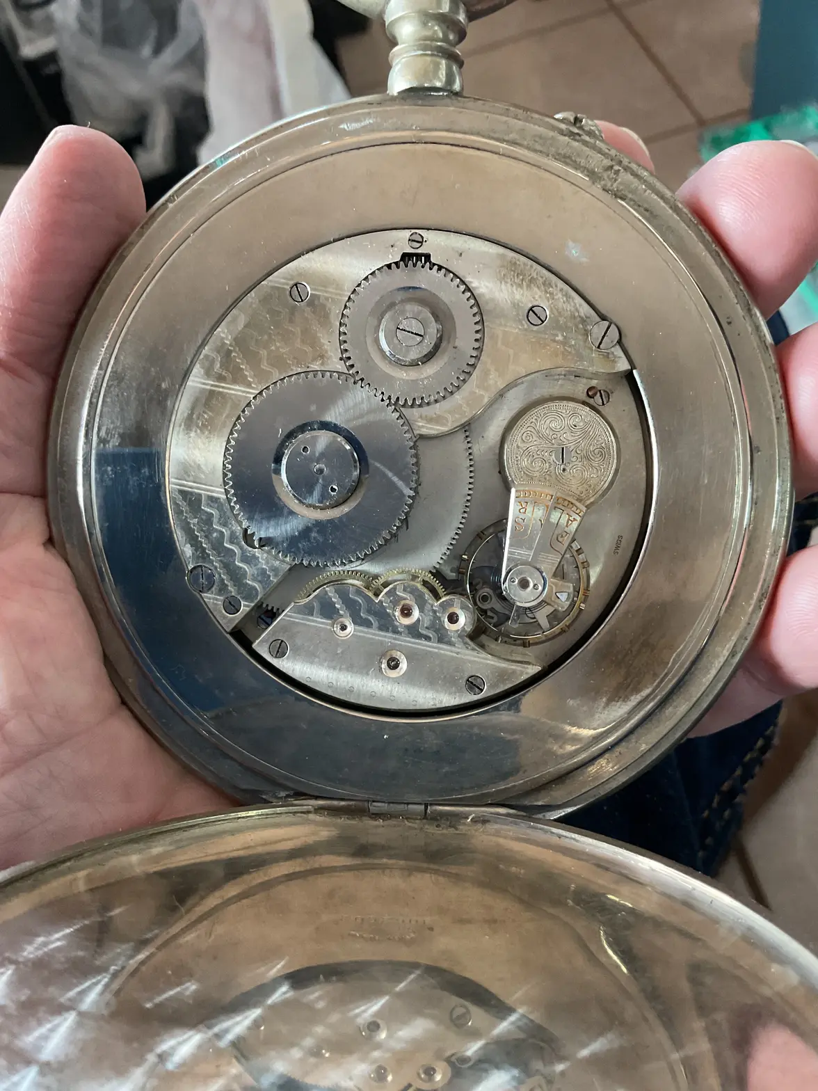 IMG_5917.webp IMG_5917.webp