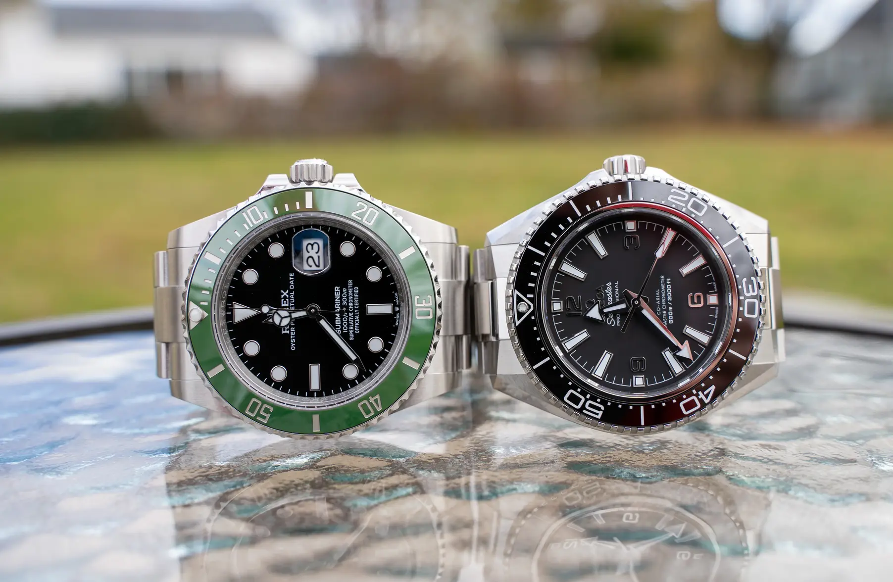 DSC02256.webp DSC02256.webp