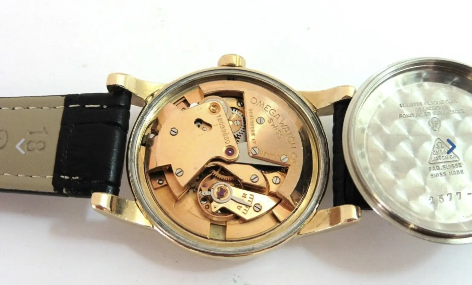 IMG_2462.webp IMG_2462.webp