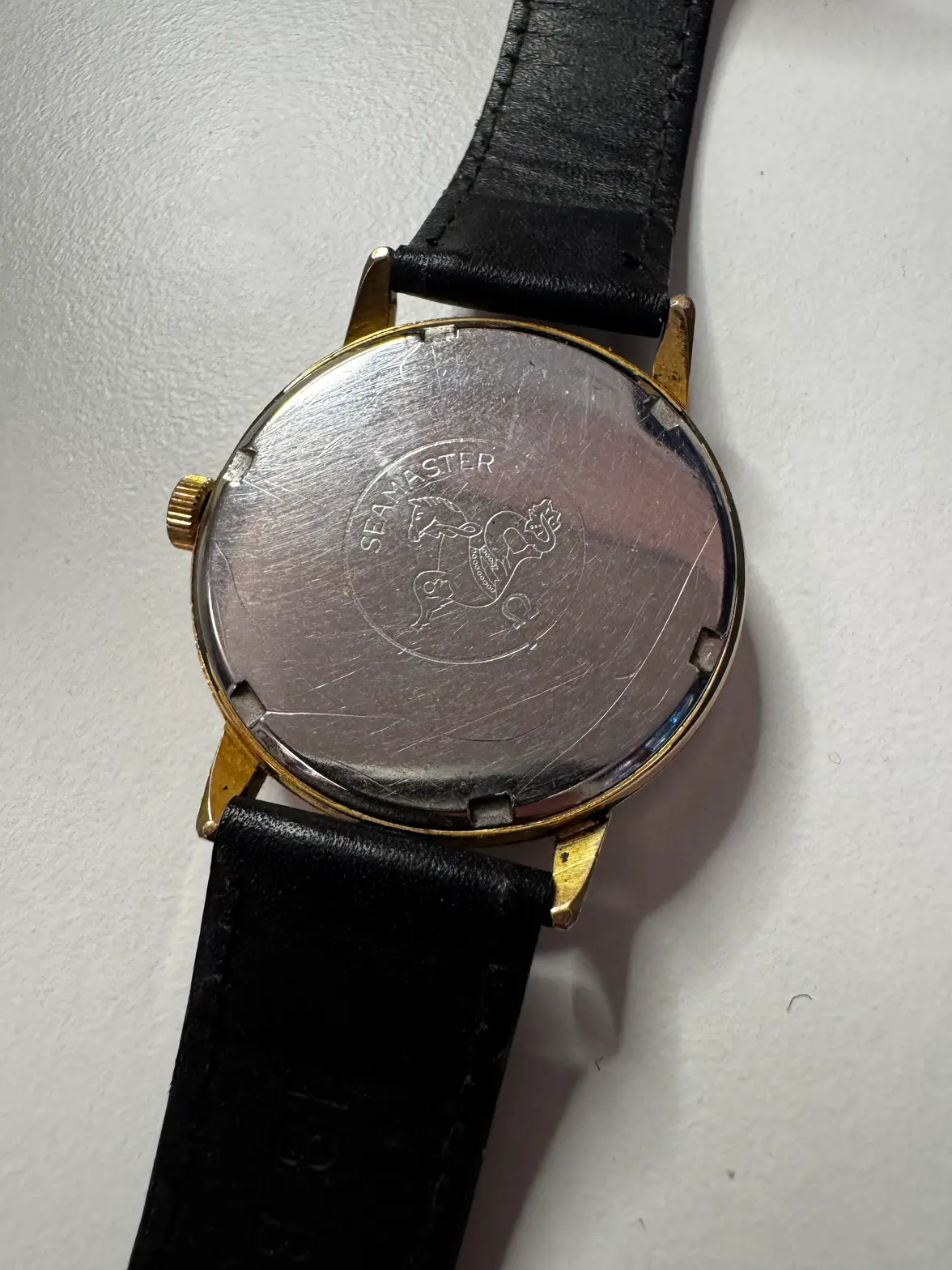 2F701196-2B15-4035-8E8E-47C824BFB94C.webp 2F701196-2B15-4035-8E8E-47C824BFB94C.webp