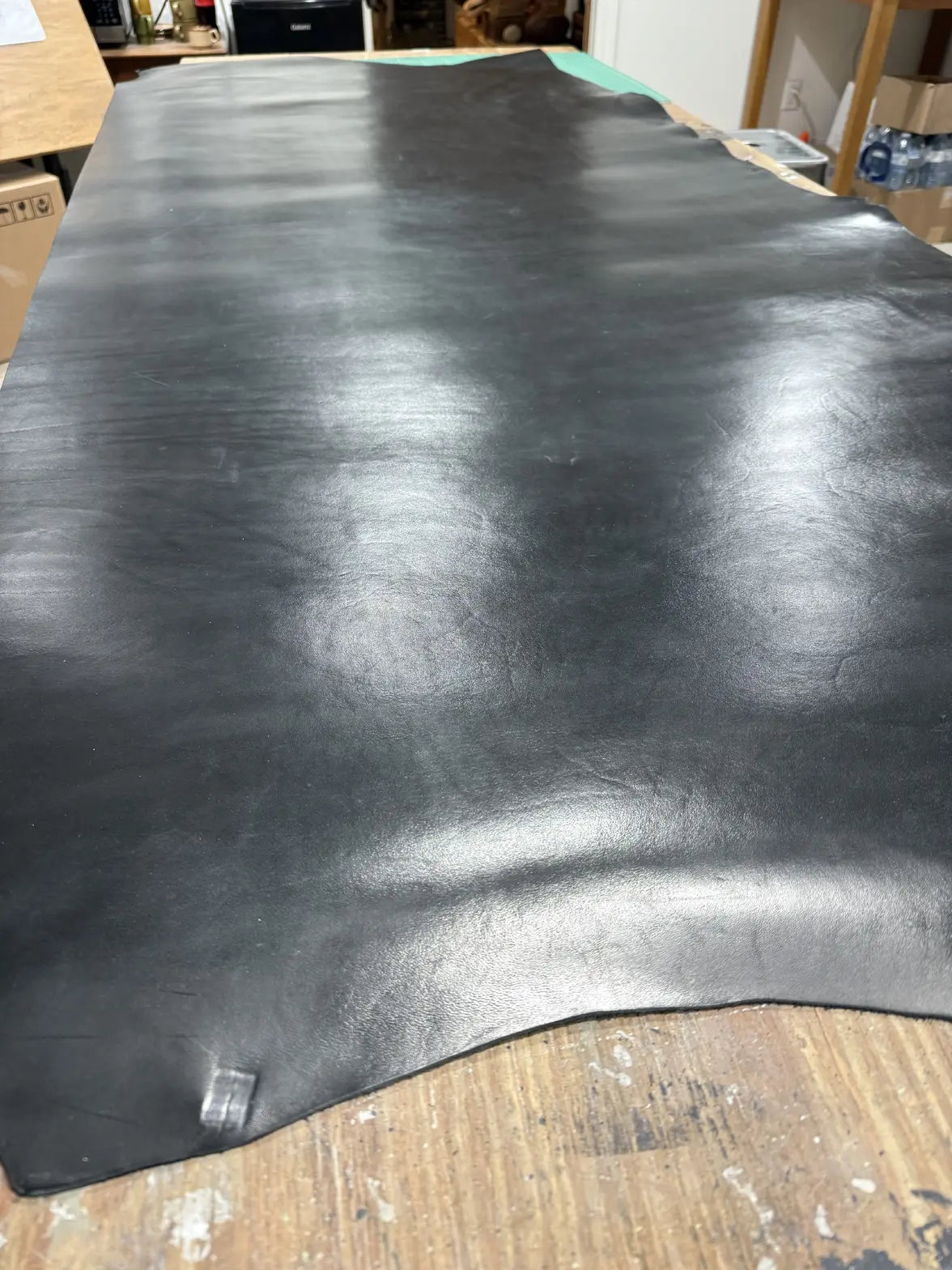 IMG_2864.webp IMG_2864.webp