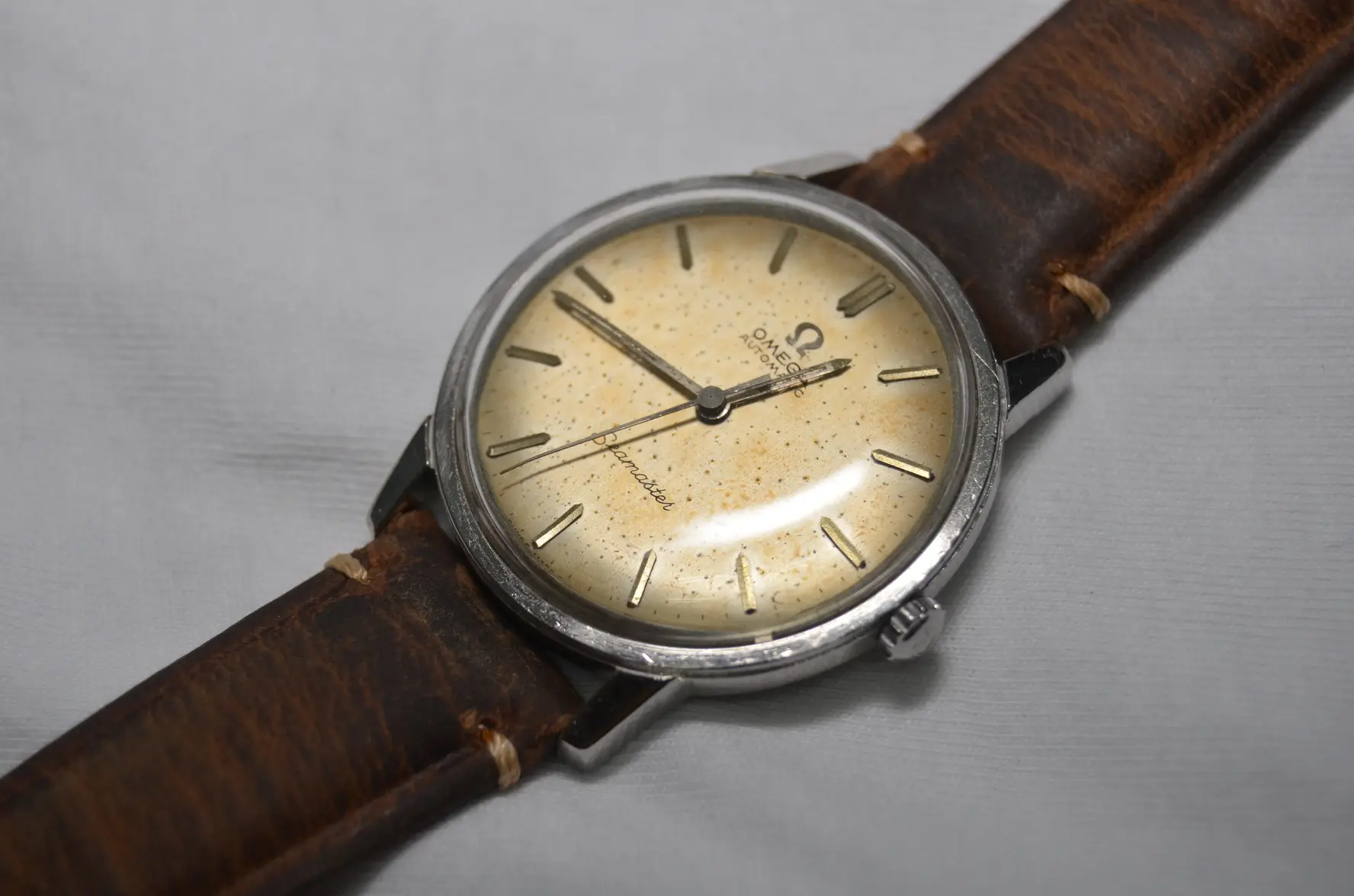 DSC_0772.webp DSC_0772.webp