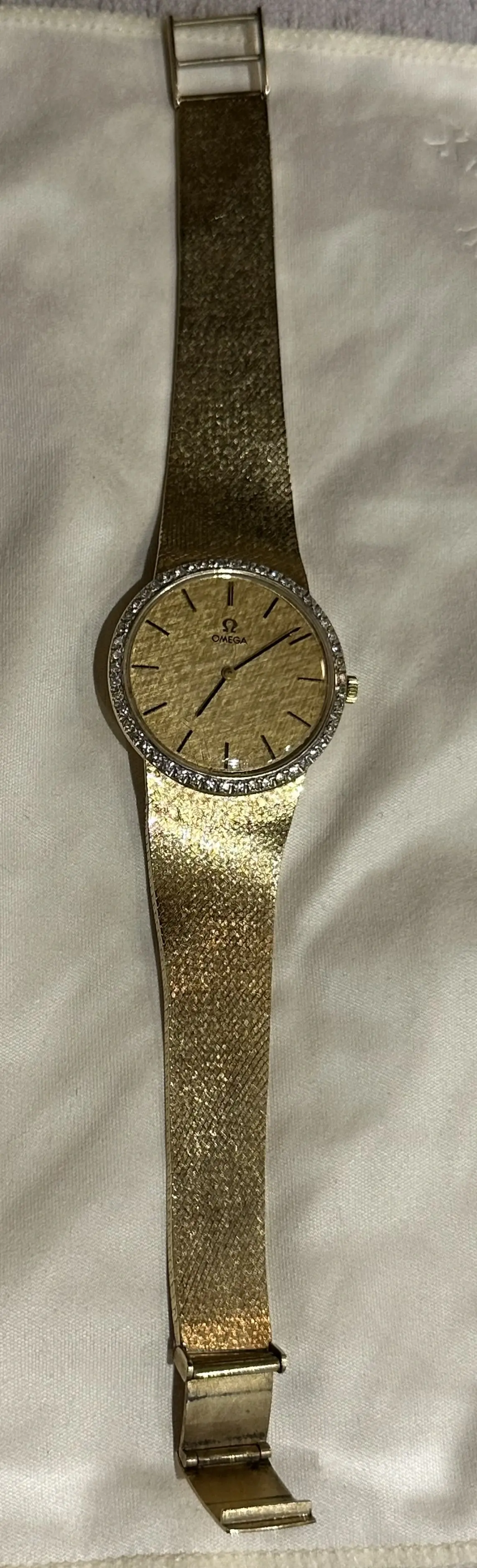 IMG_4004.webp IMG_4004.webp