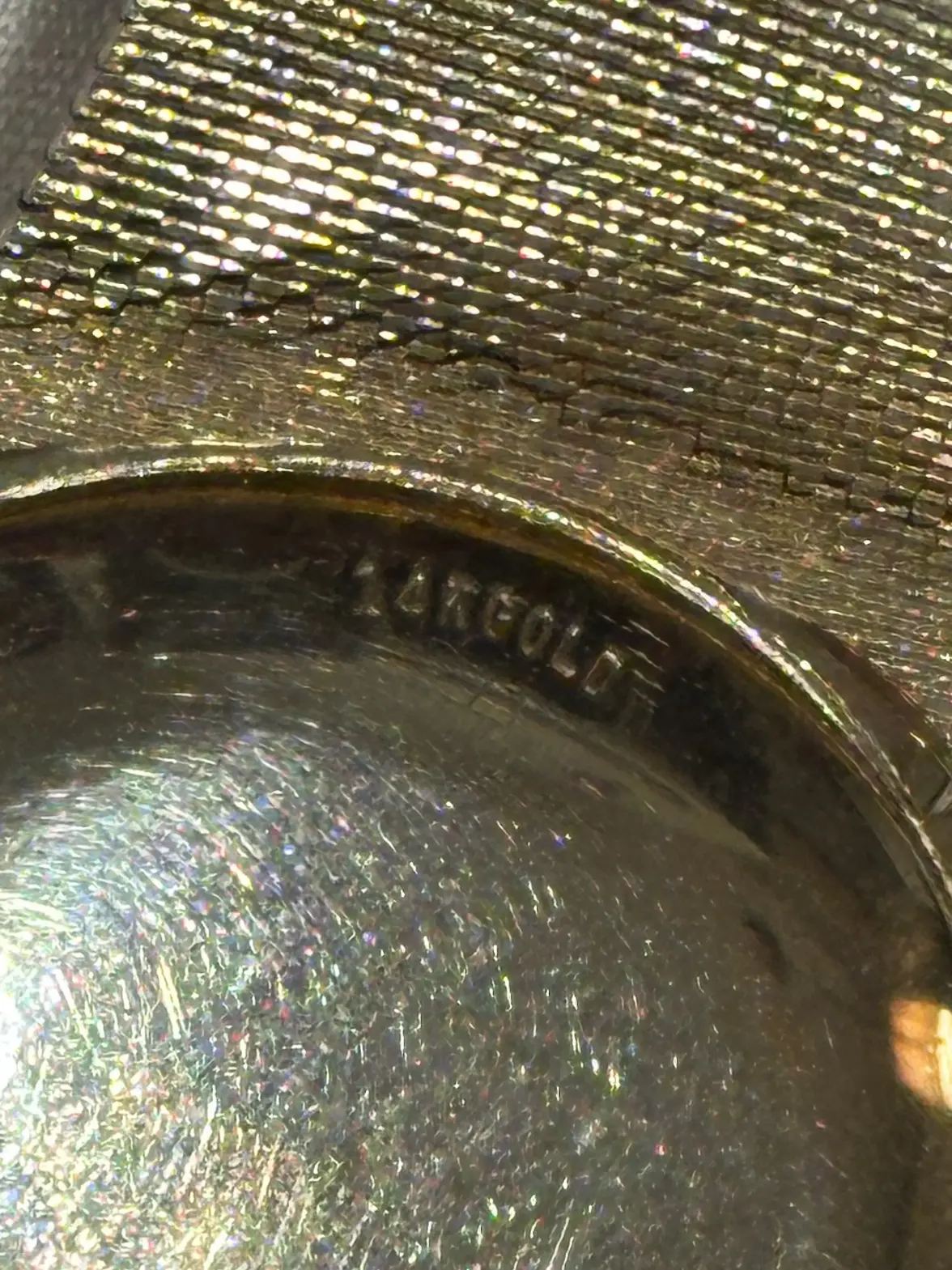 IMG_4007.webp IMG_4007.webp