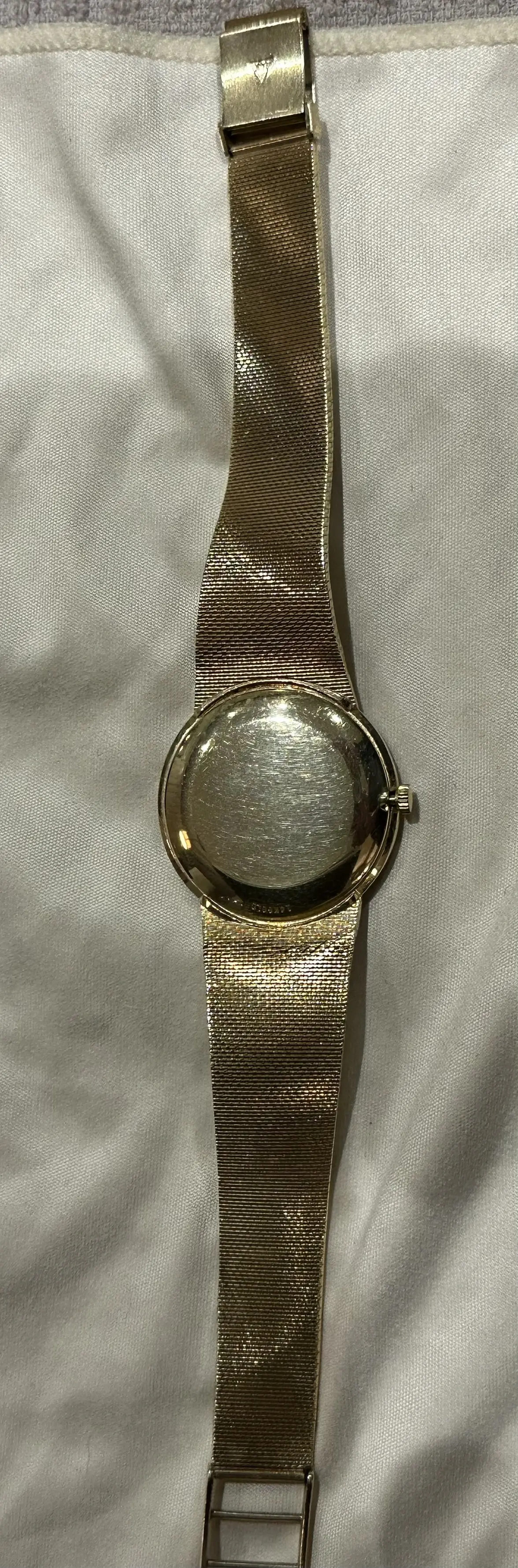 IMG_4008.webp IMG_4008.webp