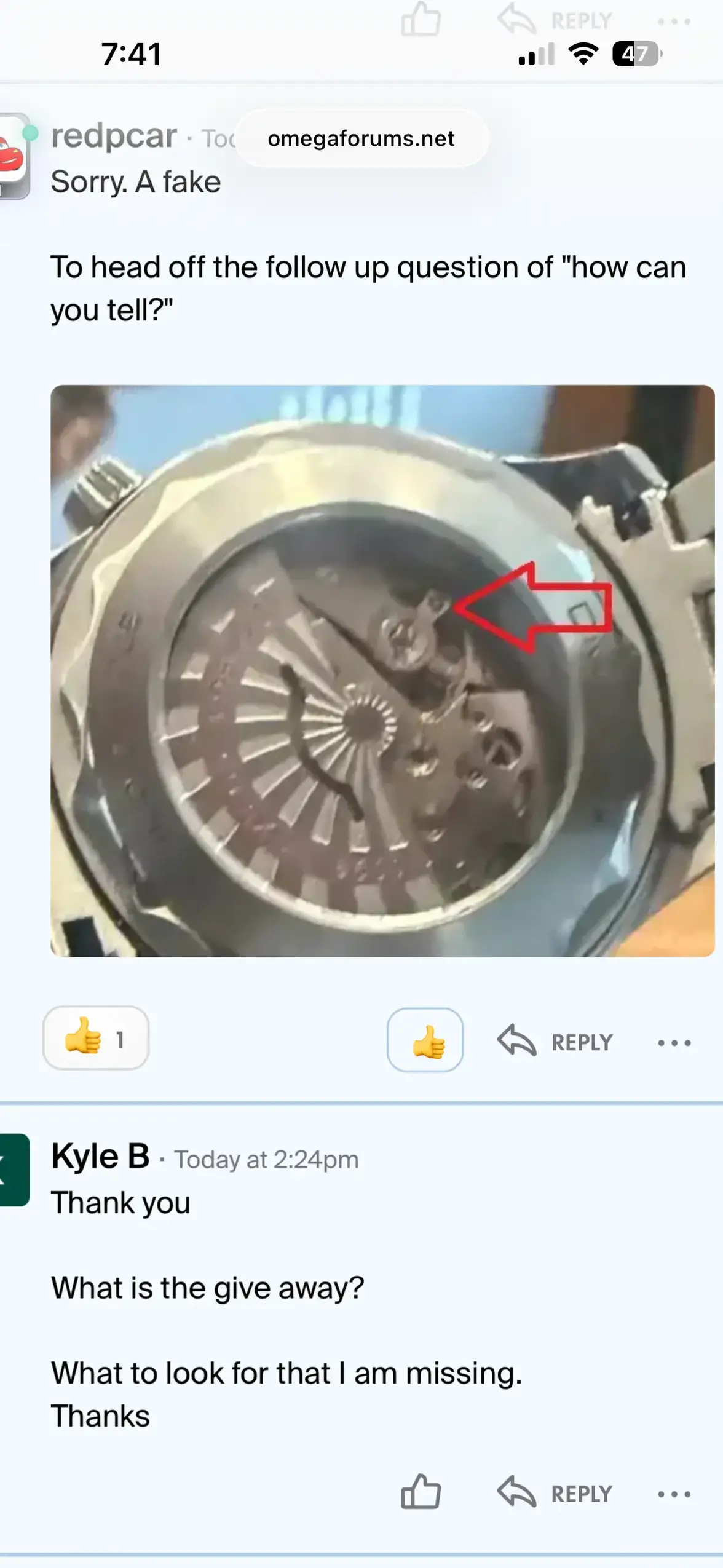 IMG_0849.webp IMG_0849.webp