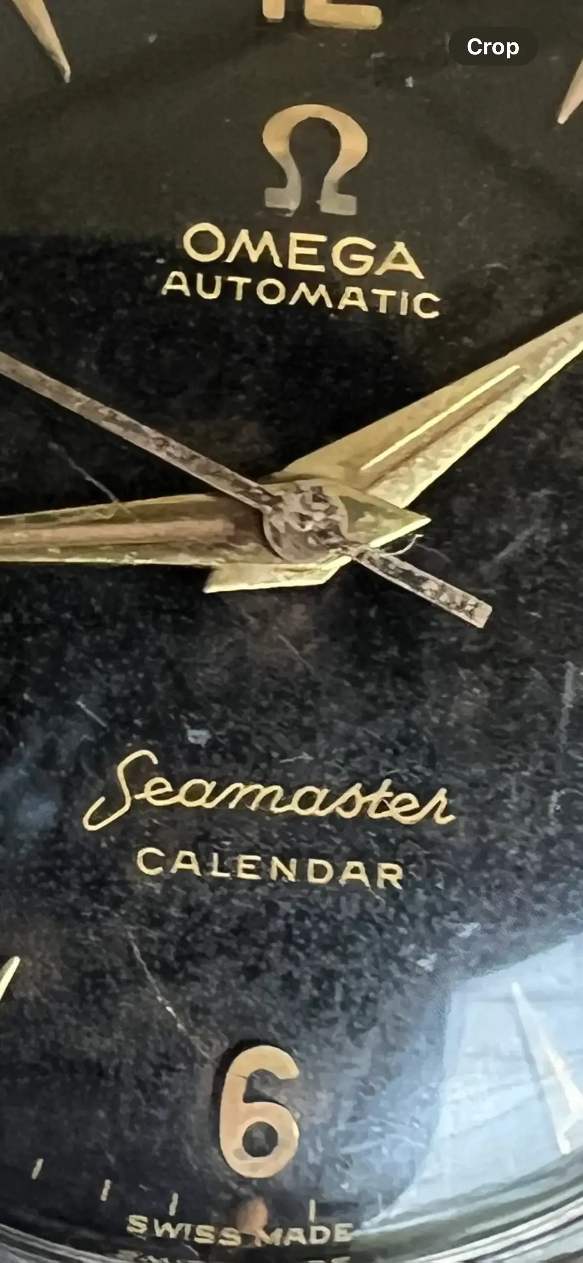 IMG_1836.webp IMG_1836.webp