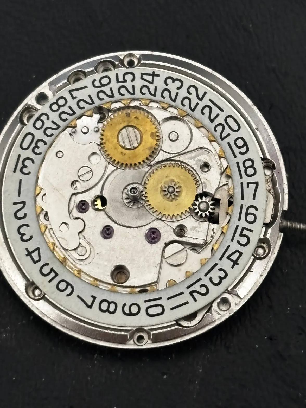 IMG_7916.webp IMG_7916.webp