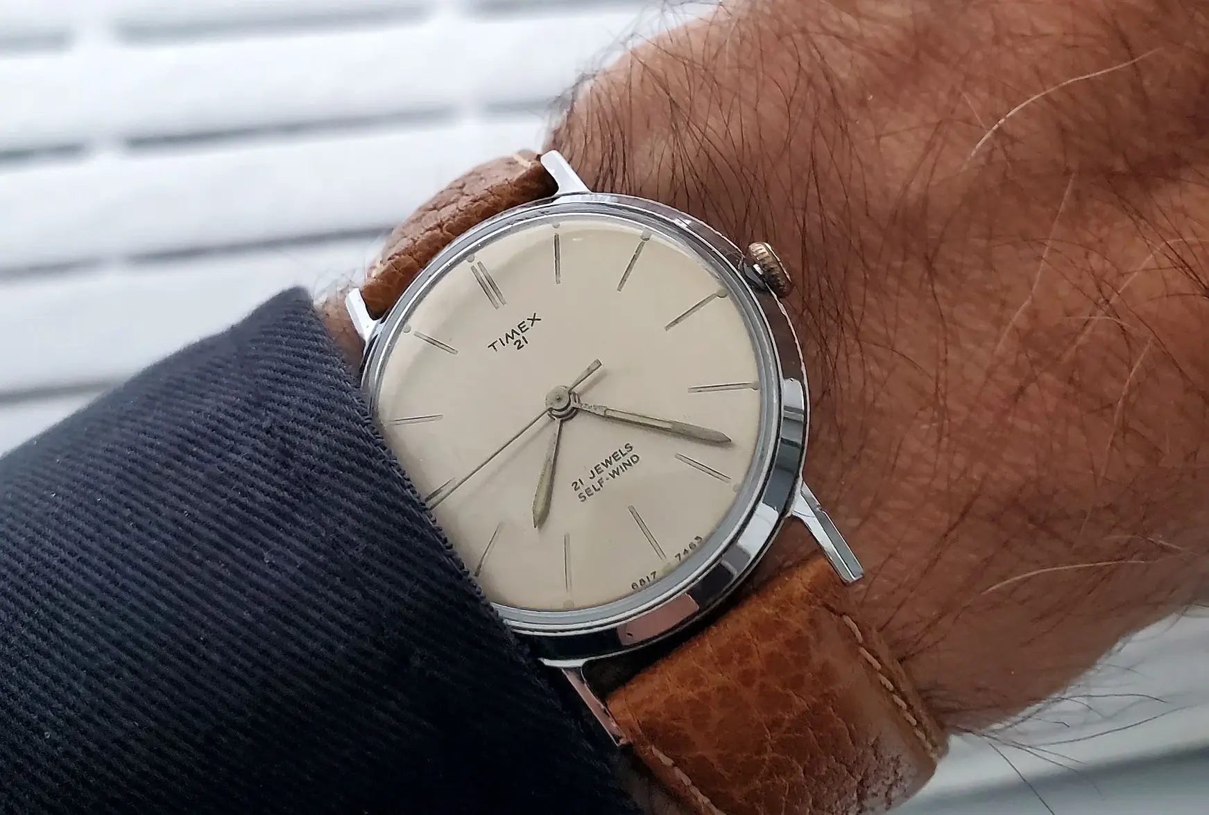 Timex ws 1 20251130_072345.webp