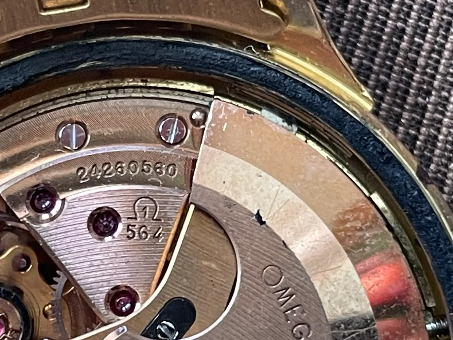 CharliesOmegaInsides (6).webp