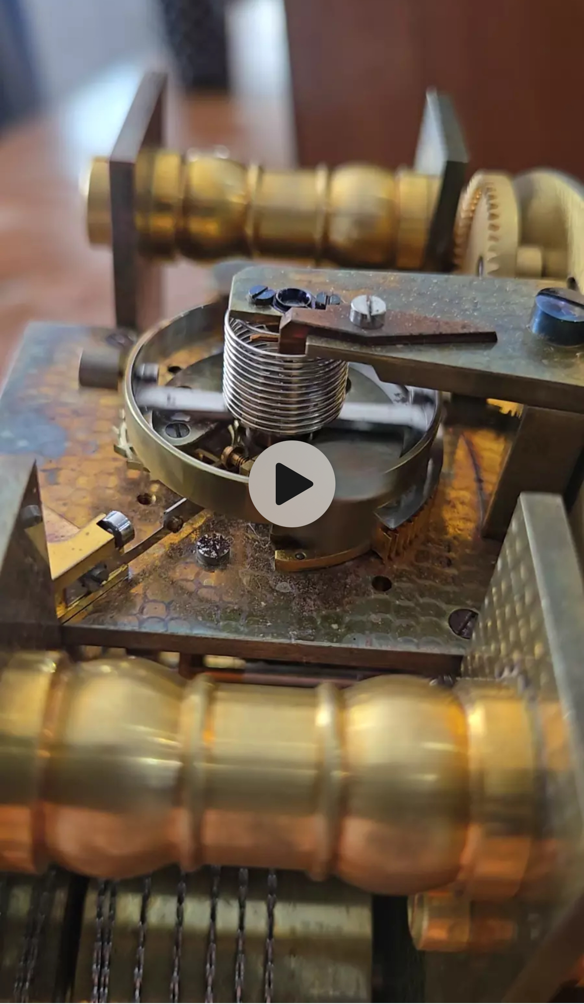 IMG_1194.webp IMG_1194.webp