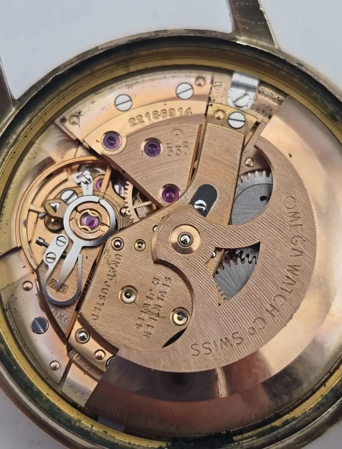 IMG_1503.webp IMG_1503.webp