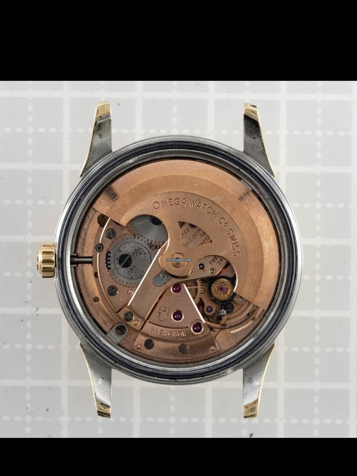 IMG_1846.webp IMG_1846.webp