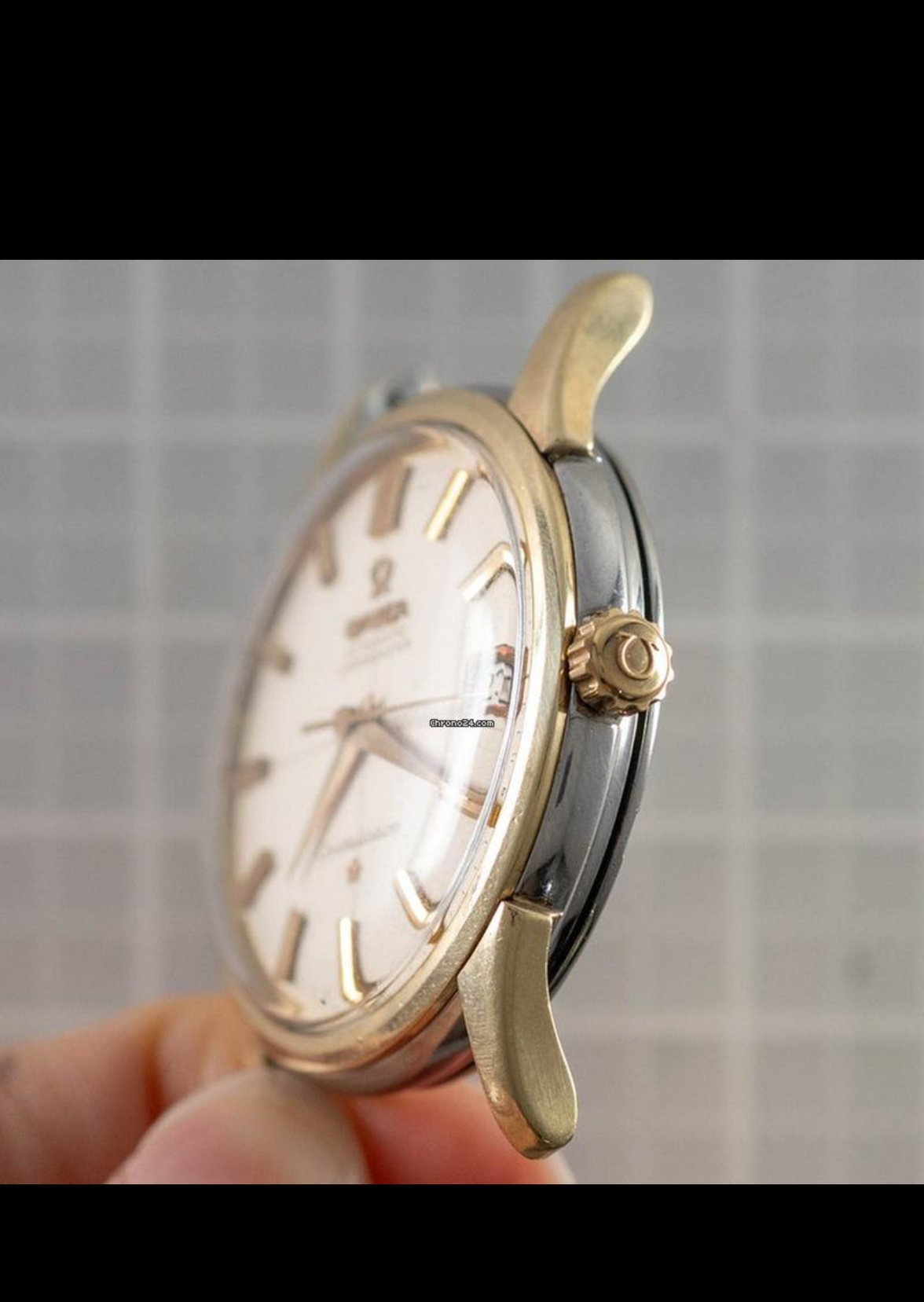 IMG_1848.webp IMG_1848.webp