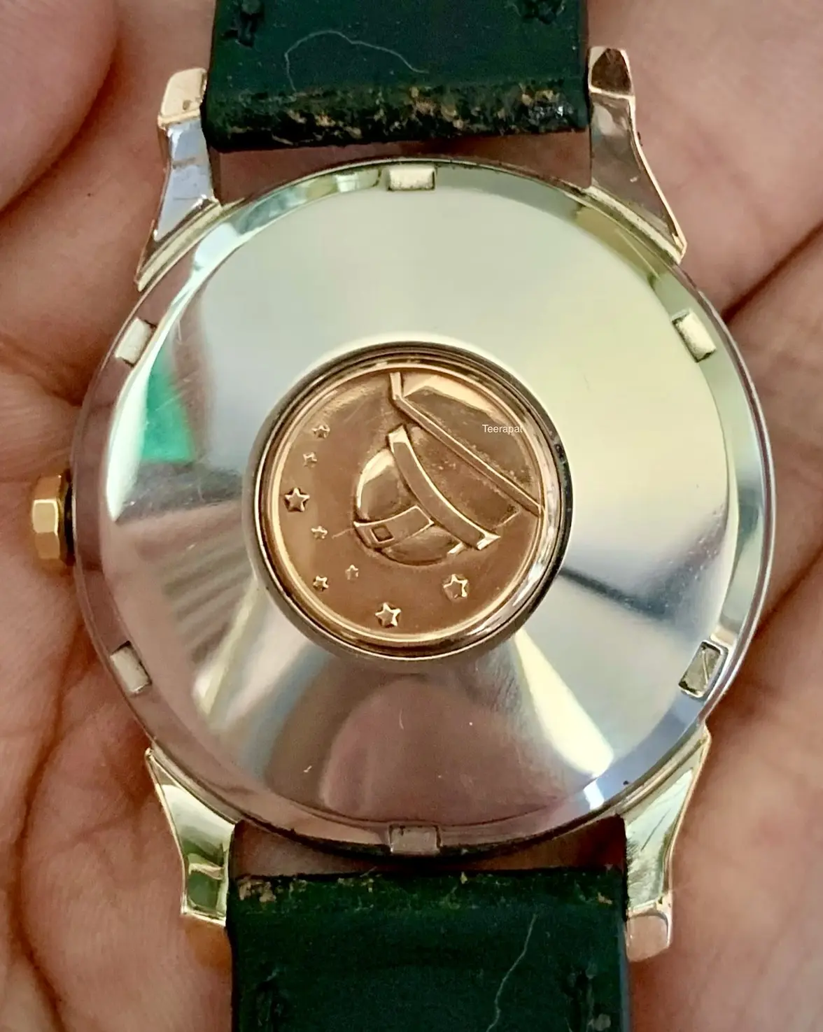 IMG_3799.webp IMG_3799.webp