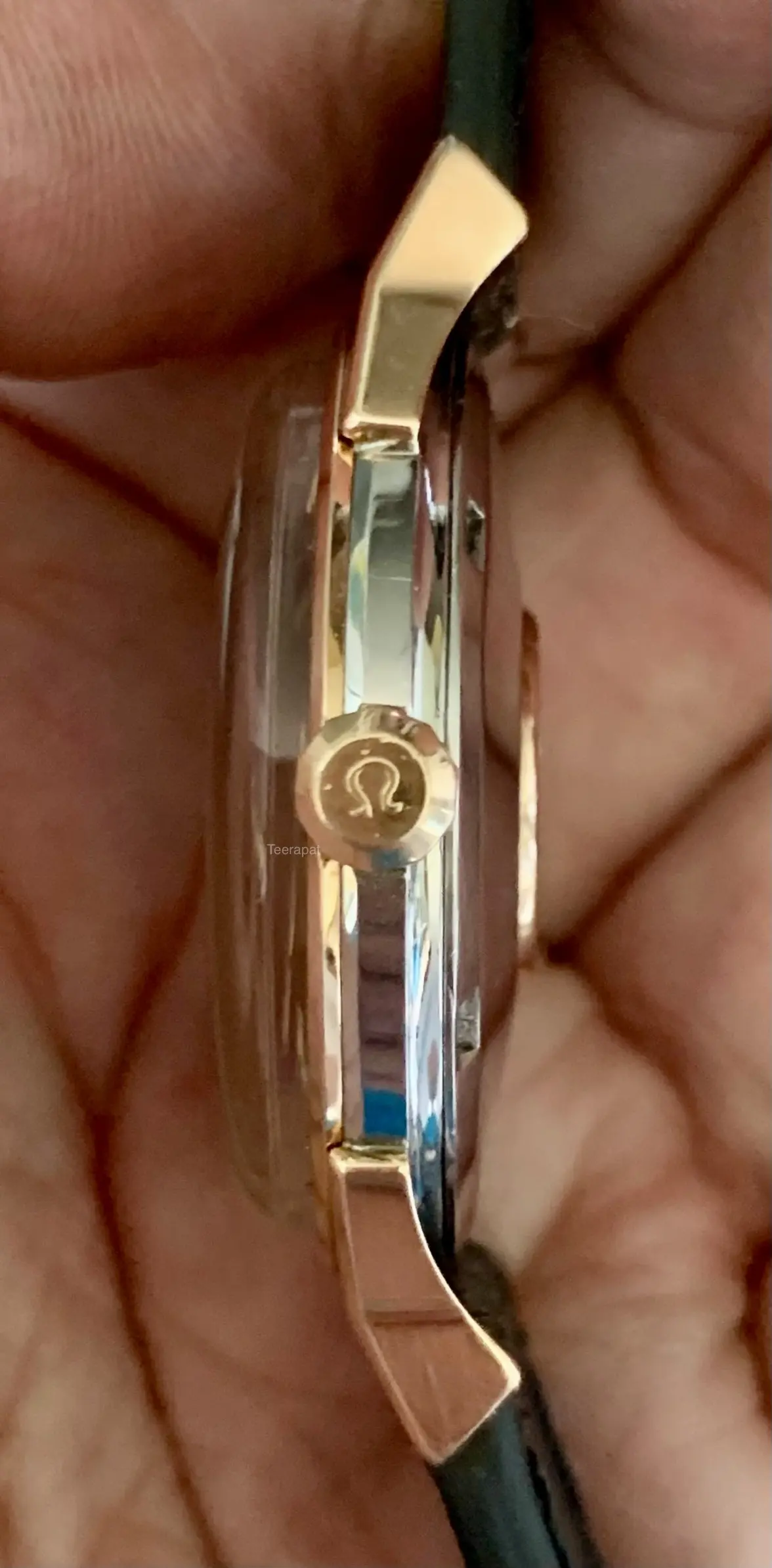 IMG_3802.webp IMG_3802.webp