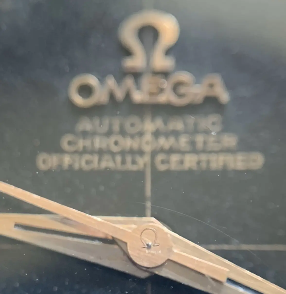 IMG_3842.webp IMG_3842.webp