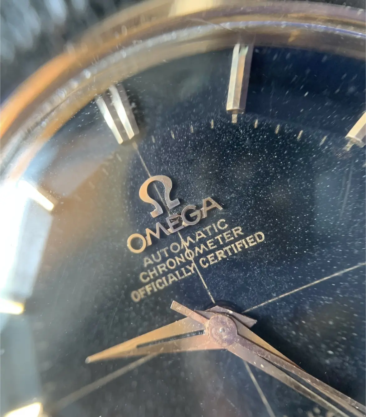 IMG_3848.webp IMG_3848.webp