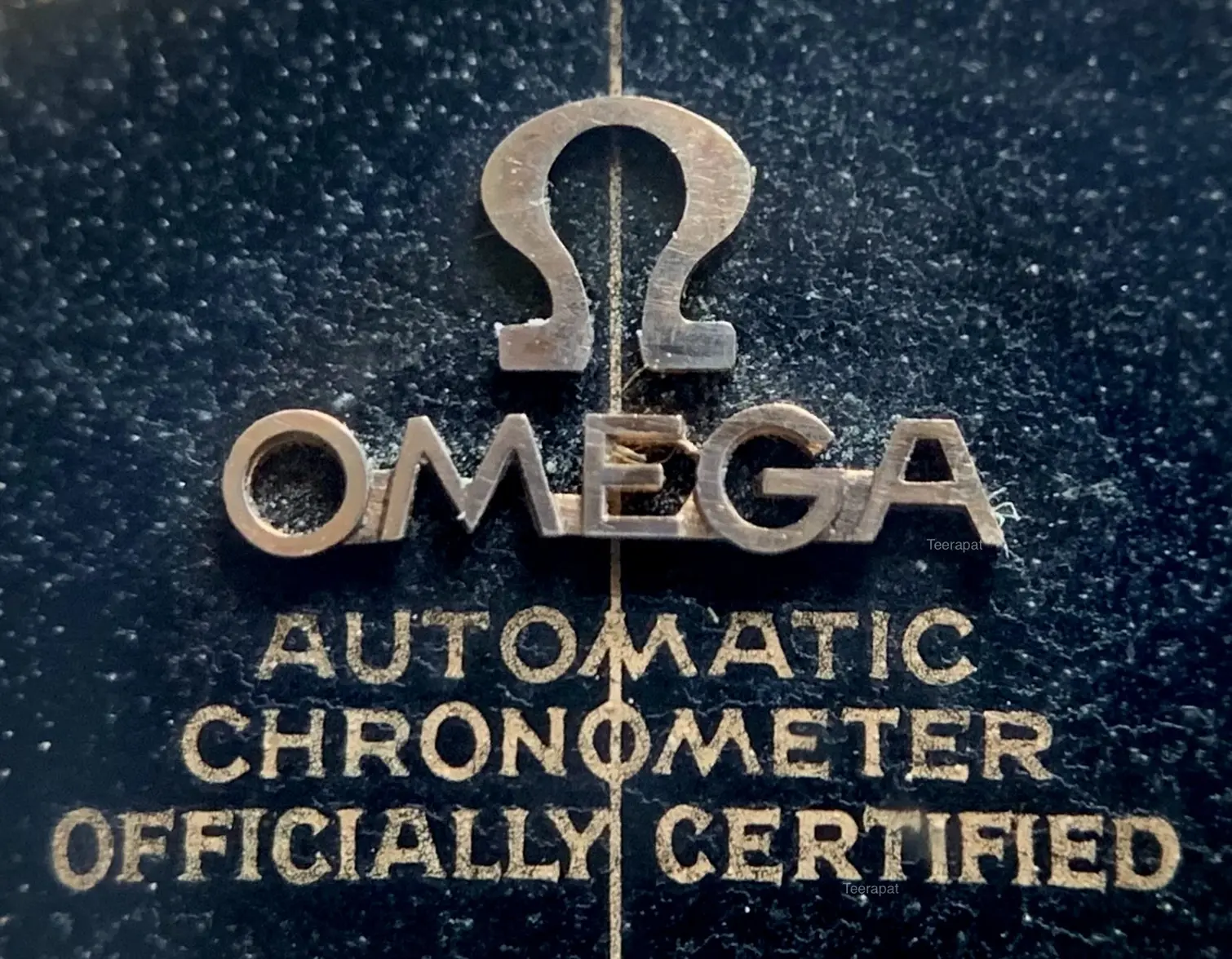 IMG_3835.webp IMG_3835.webp