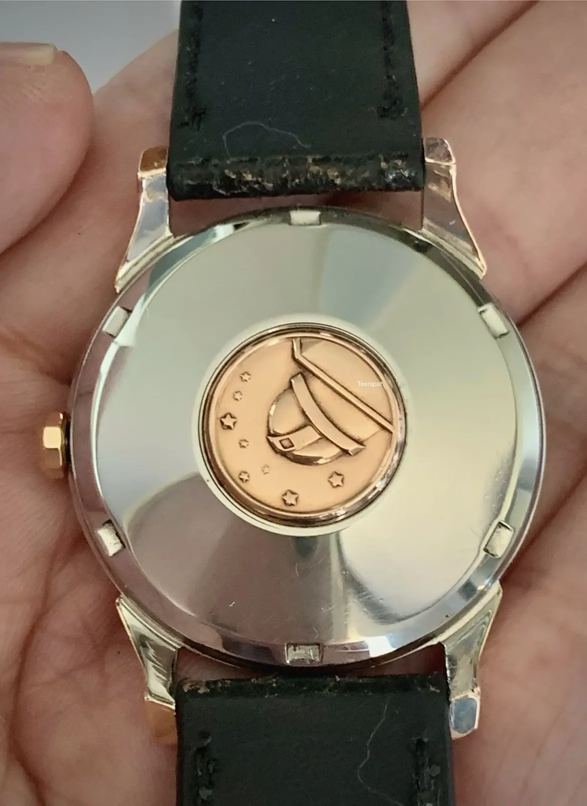 IMG_3800.webp IMG_3800.webp