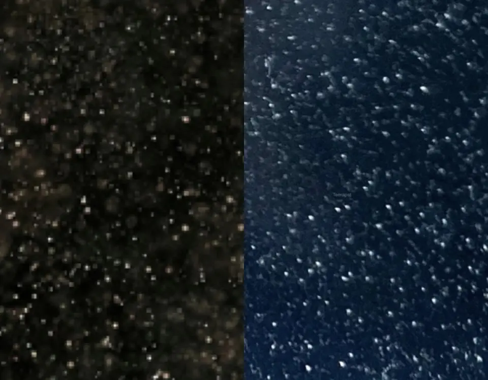 IMG_3556.webp IMG_3556.webp