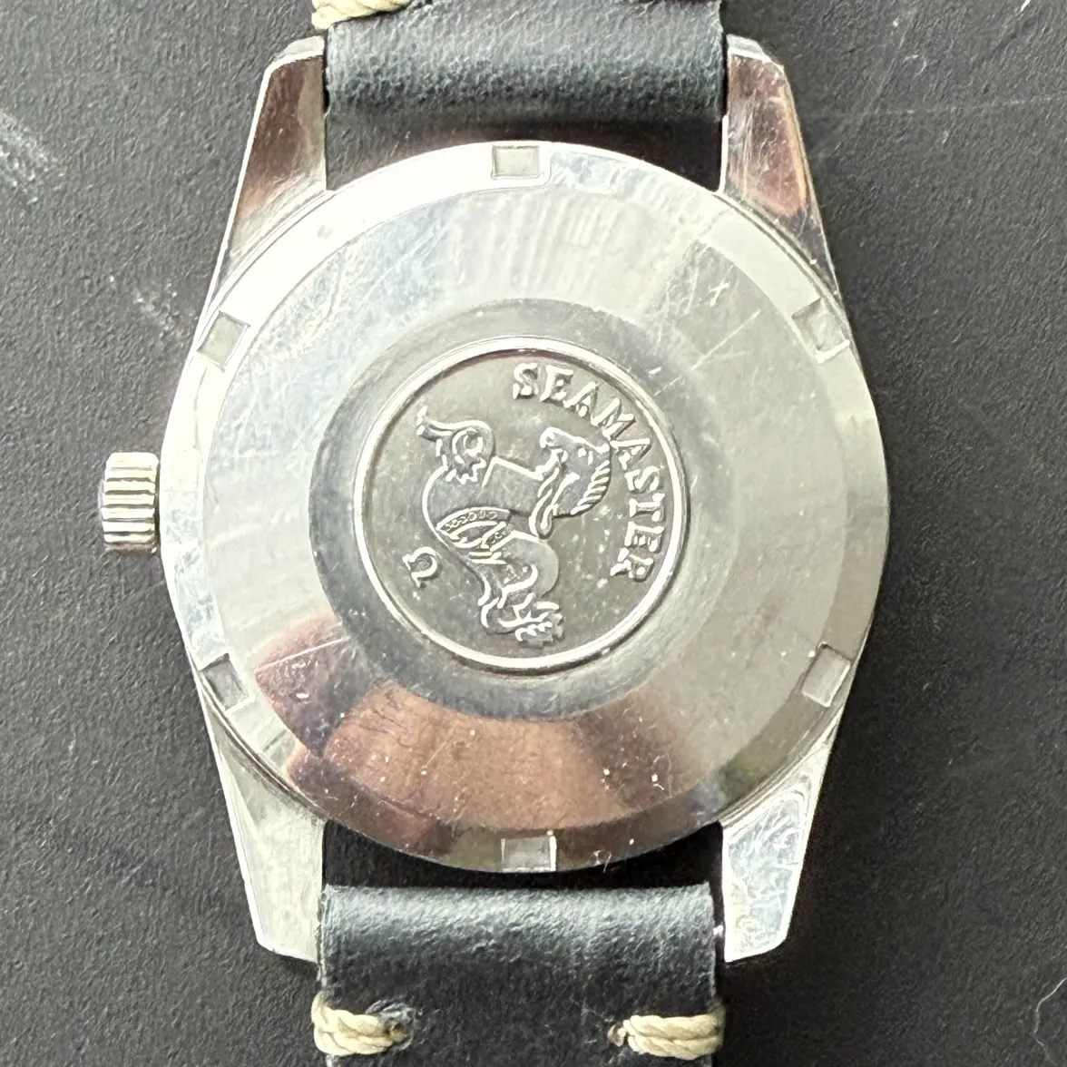 IMG_2581.webp IMG_2581.webp