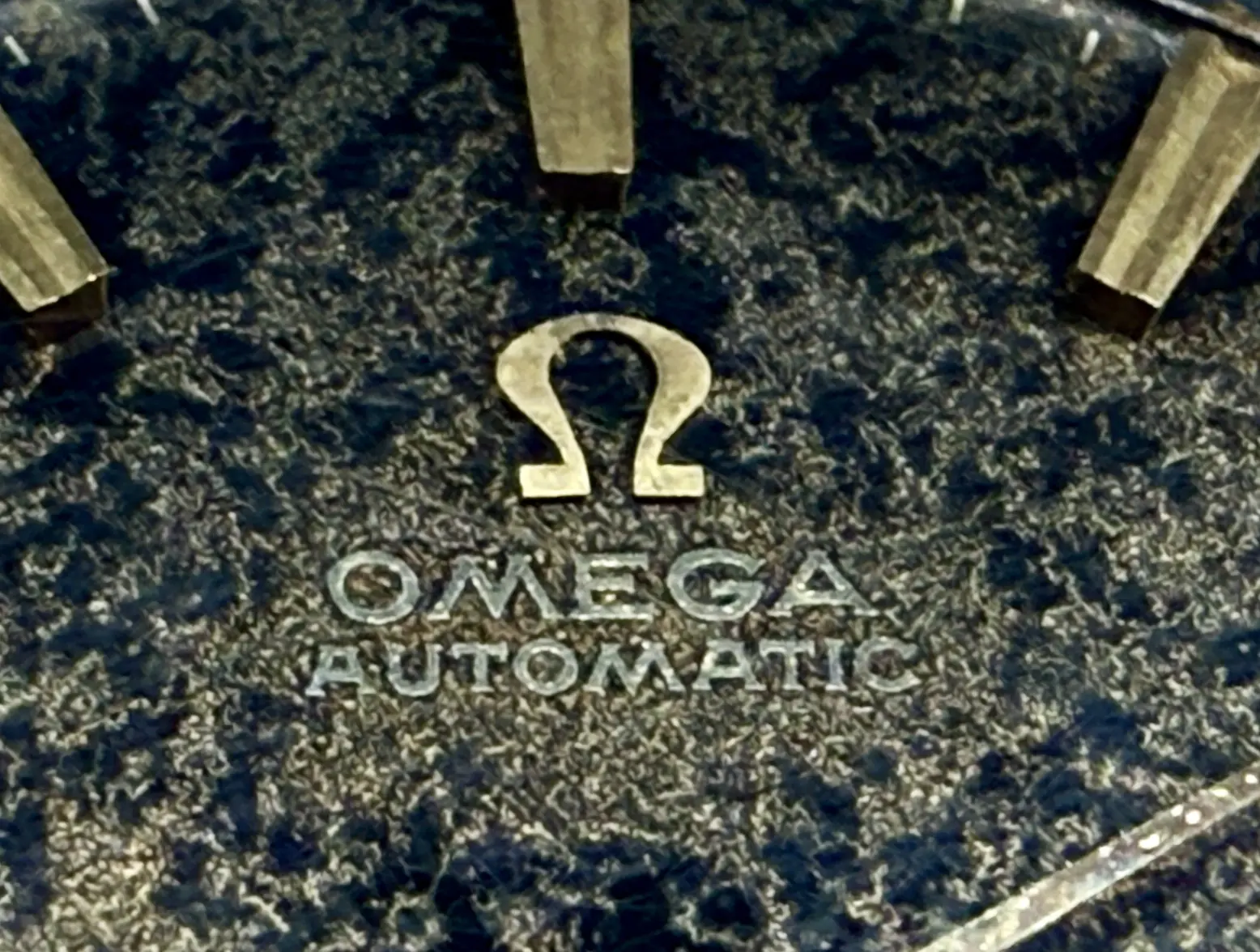 IMG_2587.webp IMG_2587.webp