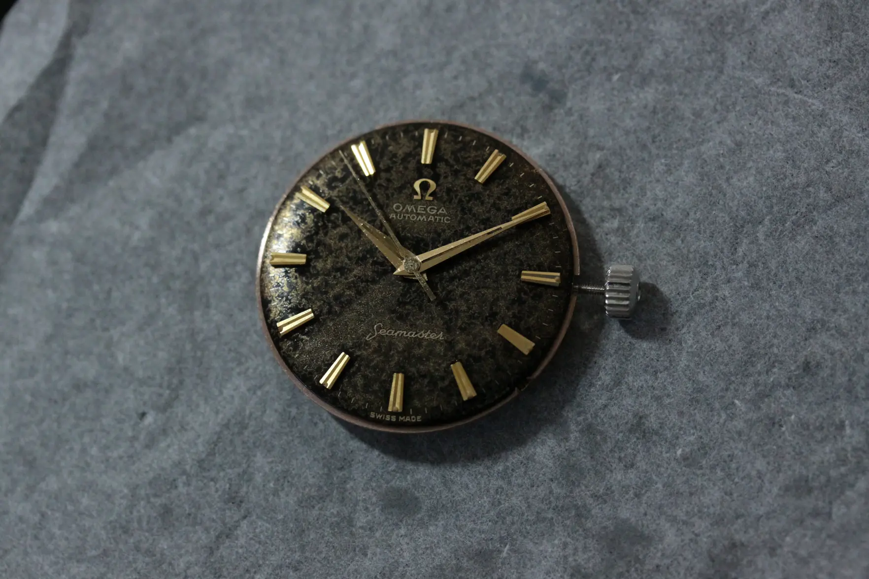 media.webp media.webp